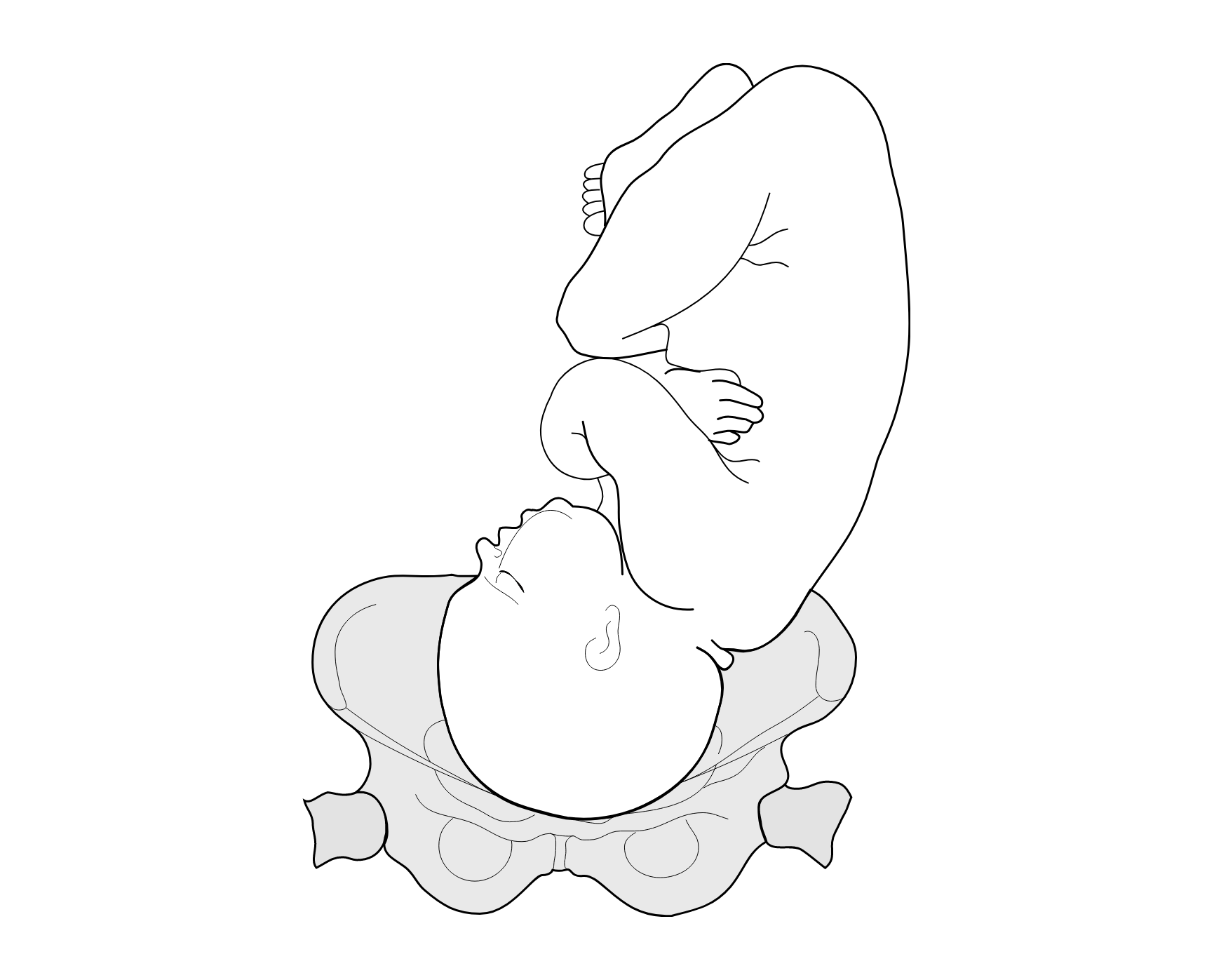 Pränatal- & Geburtstherapie