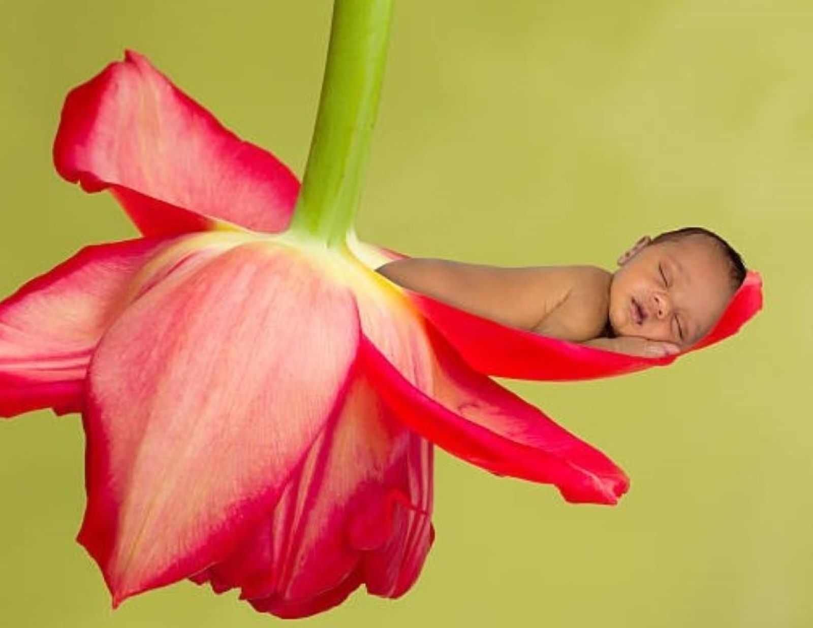 Kurs «Geborgenheit für mich und mein inneres Kind»